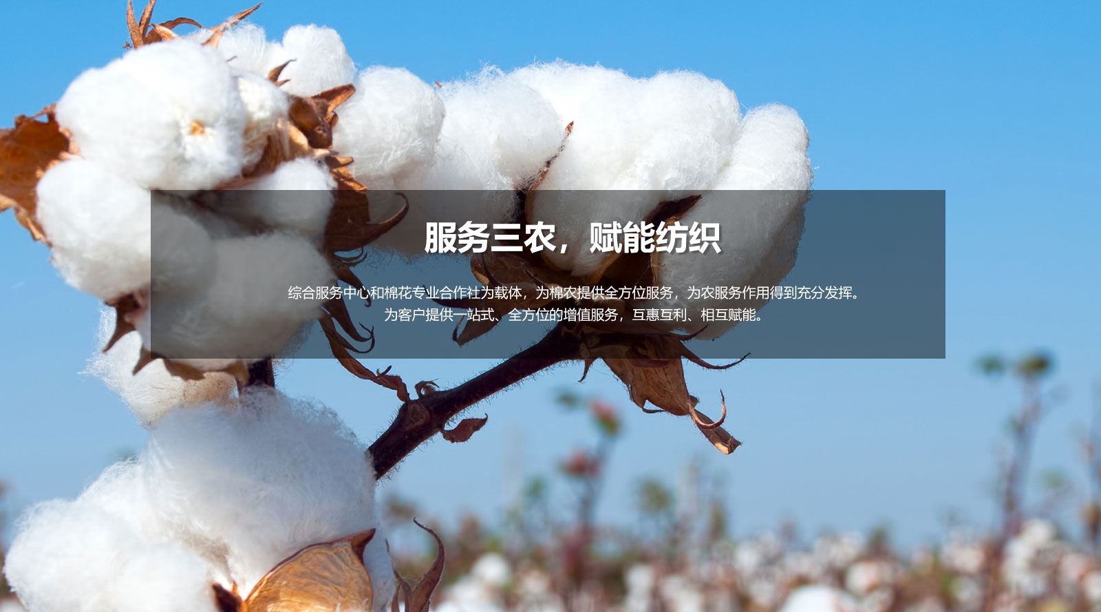 服務(wù)三農(nóng)，賦能紡織