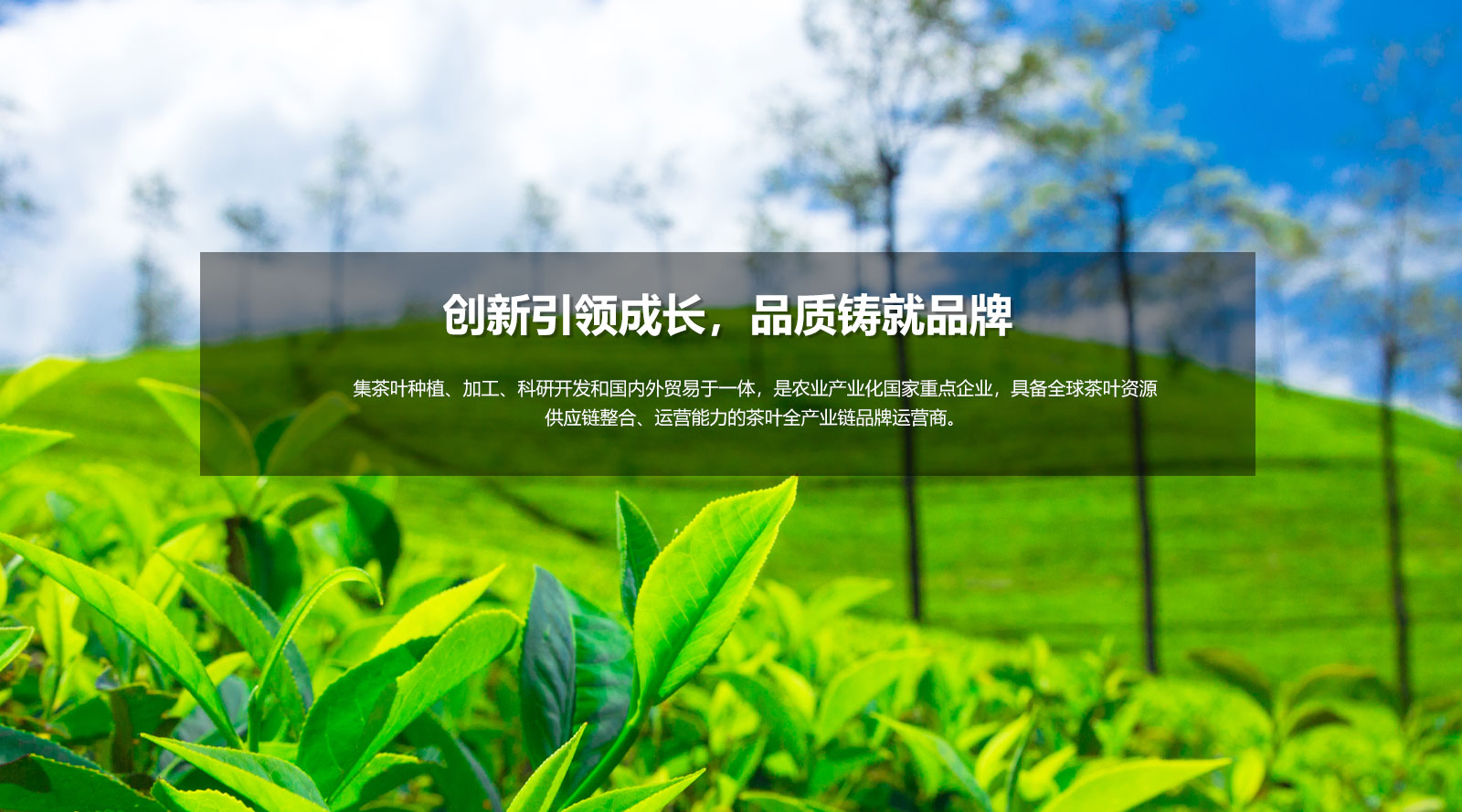 創(chuàng)新引領(lǐng)成長(zhǎng)，品質(zhì)鑄就品牌